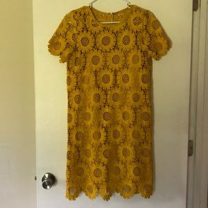 LOFT Lace Dress